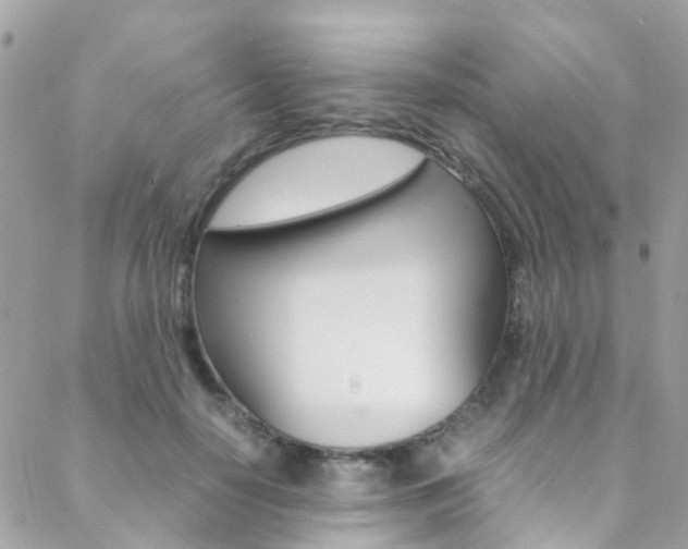 X0000089450650200706151037