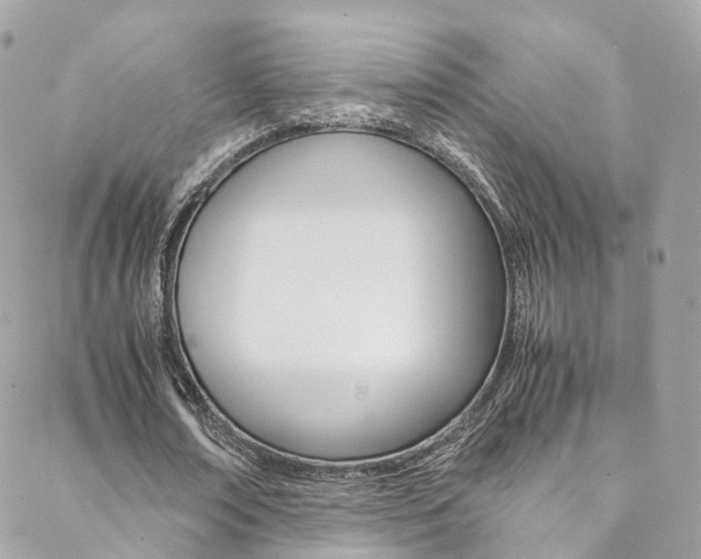 X0000089450674200706151037