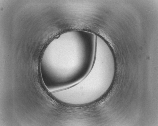 X0000089450681200706151037