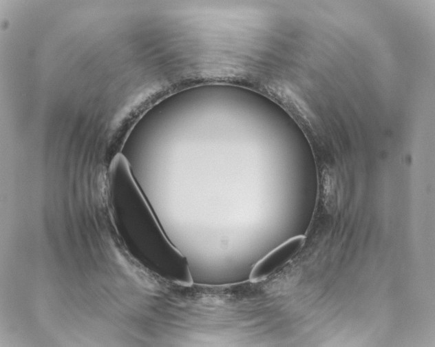 X0000089450684200706151037