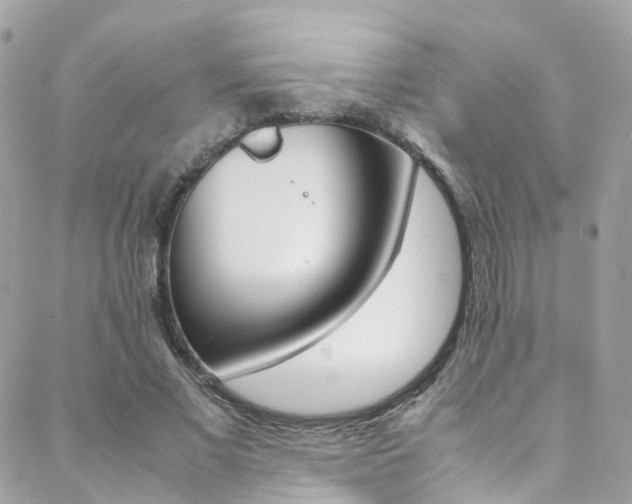 X0000089450685200706151037