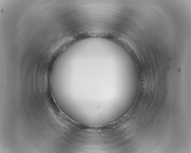 X0000089450690200706151037