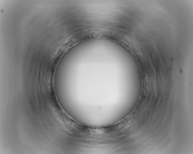 X0000089450698200706151036