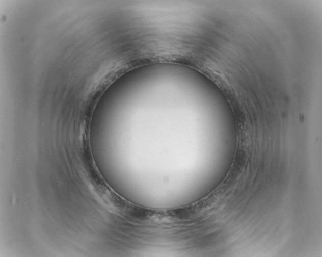 X0000089450742200706151036