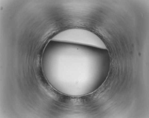 X0000089450744200706151036
