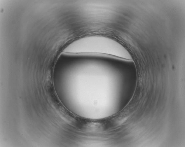 X0000089450748200706151036