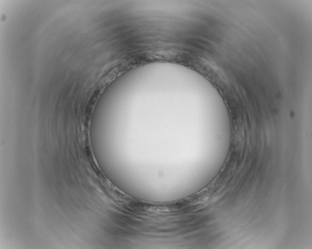 X0000089450749200706151036