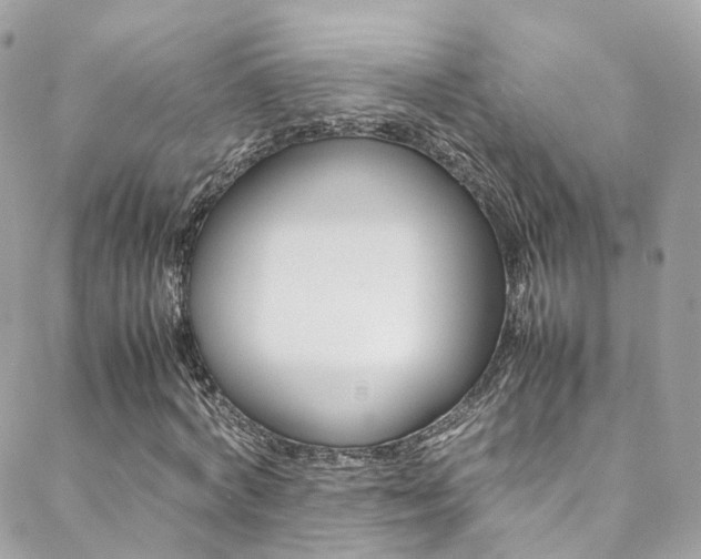 X0000089450772200706151035