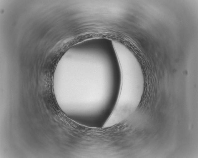 X0000089450773200706151035
