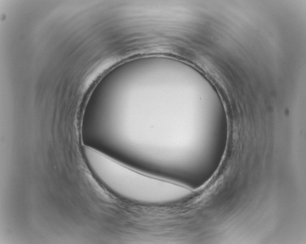 X0000089450789200706151035