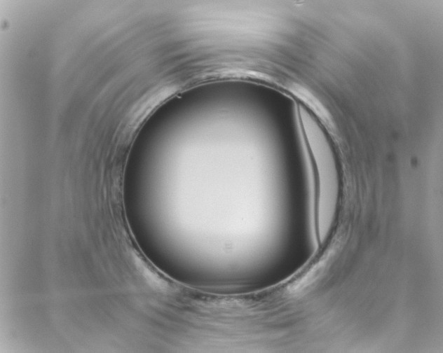 X0000089450801200706151035