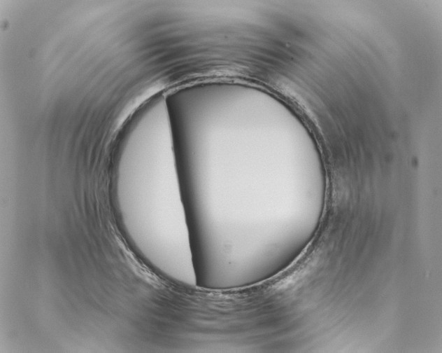 X0000089450827200706151034