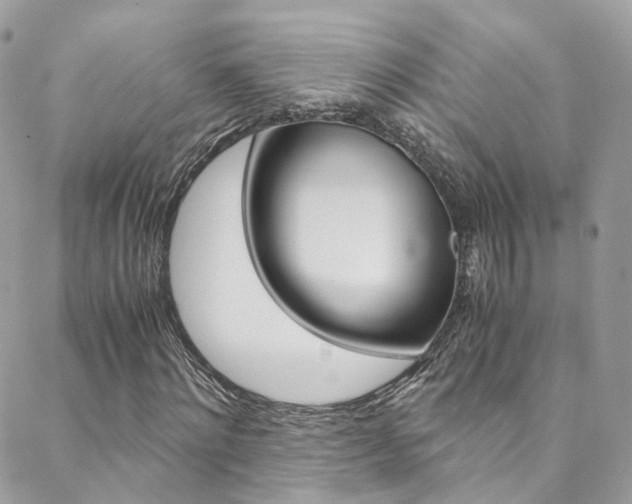 X0000089450868200706151034