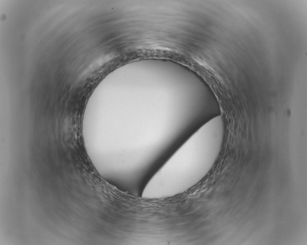 X0000089450870200706151034