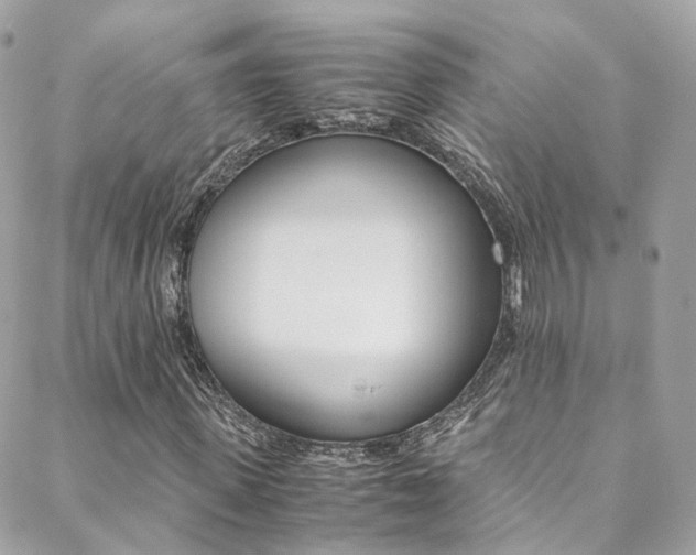 X0000089450915200706151032