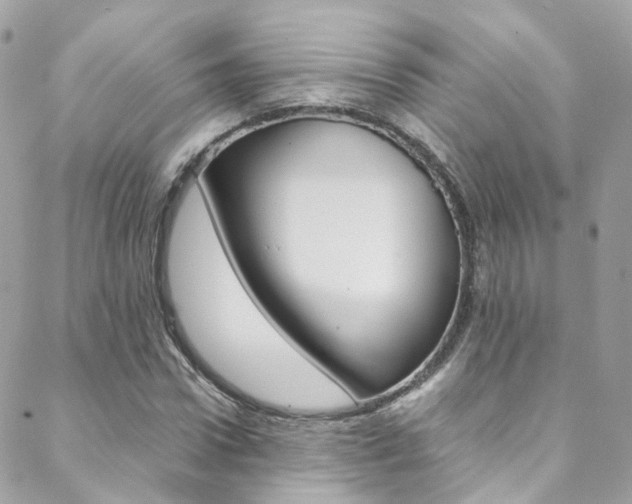 X0000089450922200706151032