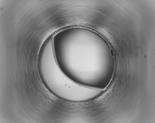 X0000089450924200706151032