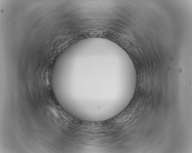 X0000089450962200706151032
