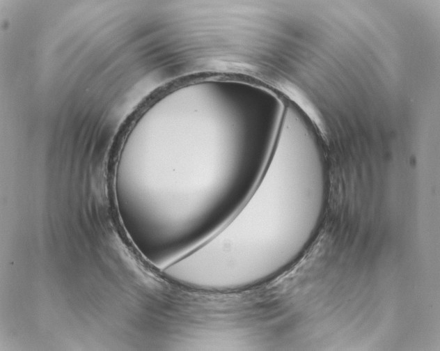 X0000089450972200706151032