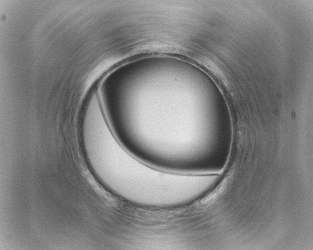 X0000089450981200706151032