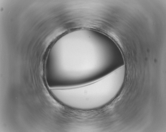X0000089450987200706151032