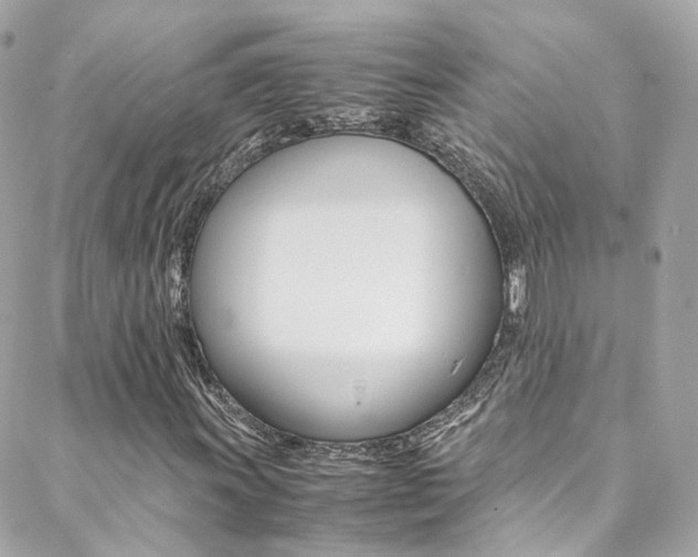 X0000089451011200706151031
