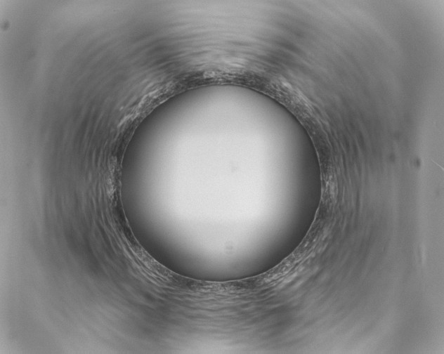 X0000089451012200706151031