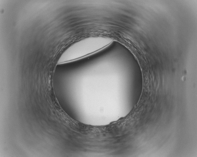 X0000089451013200706151031