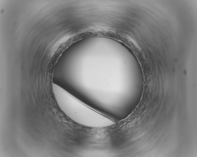 X0000089451016200706151031
