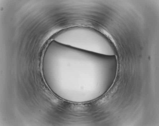 X0000089451019200706151031