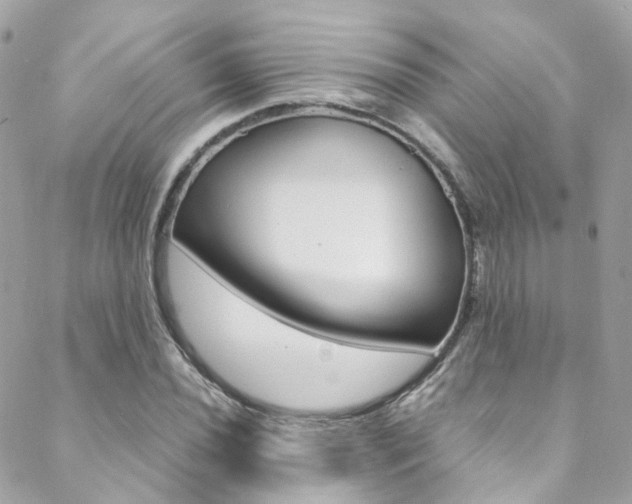 X0000089451020200706151031