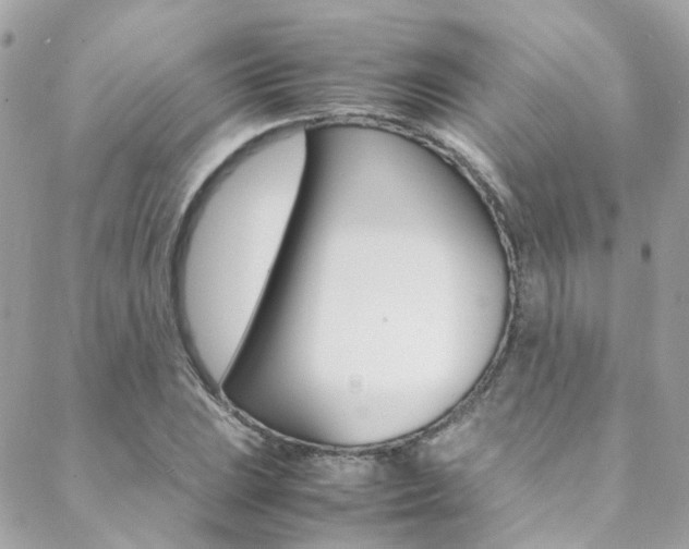 X0000089451023200706151031
