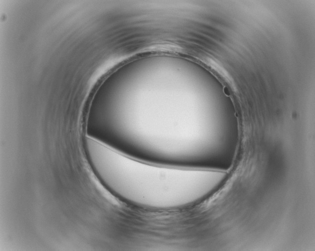 X0000089451037200706151031