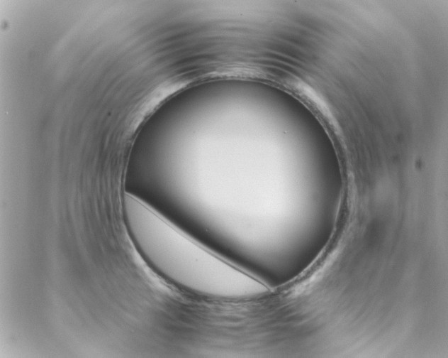 X0000089451041200706151031