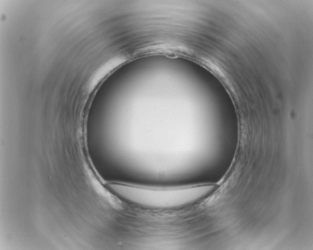 X0000089451042200706151031