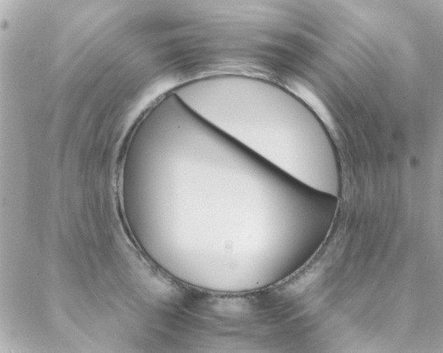 X0000089451043200706151031
