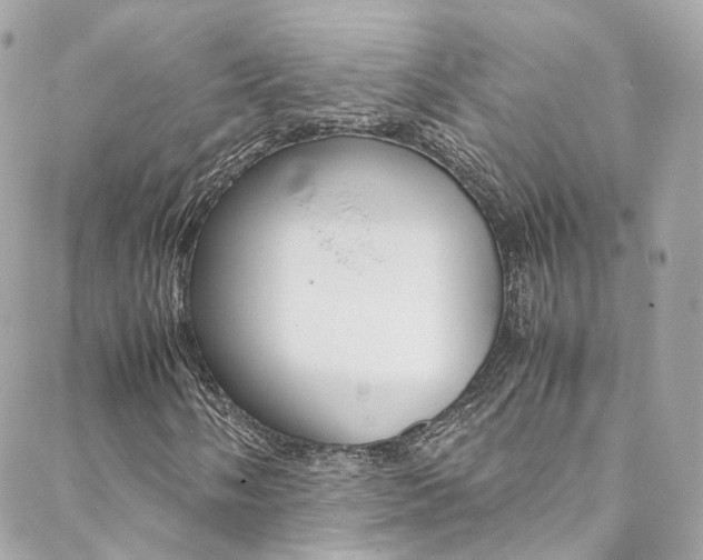 X0000089451058200706151031