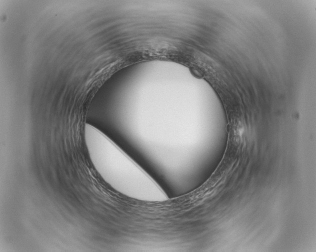 X0000089451060200706151031
