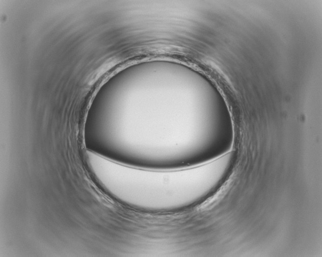 X0000089451065200706151030