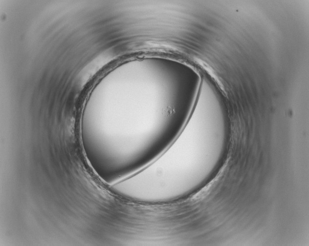 X0000089451066200706151030