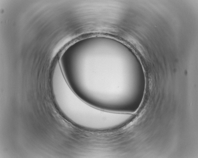 X0000089451069200706151030