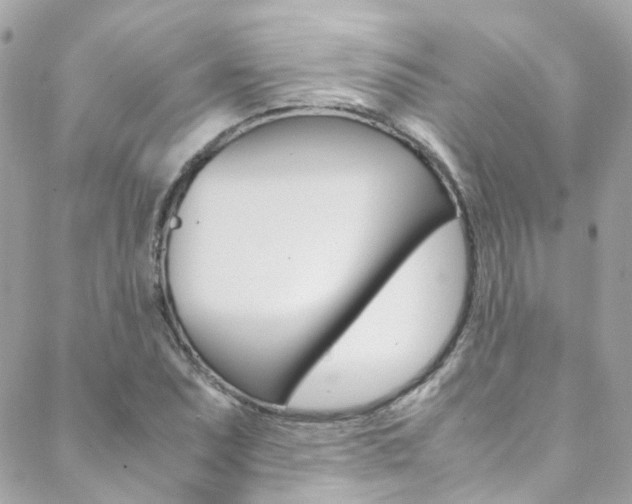 X0000089451071200706151030