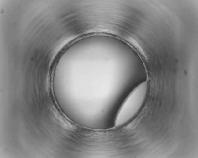 X0000089451076200706151030