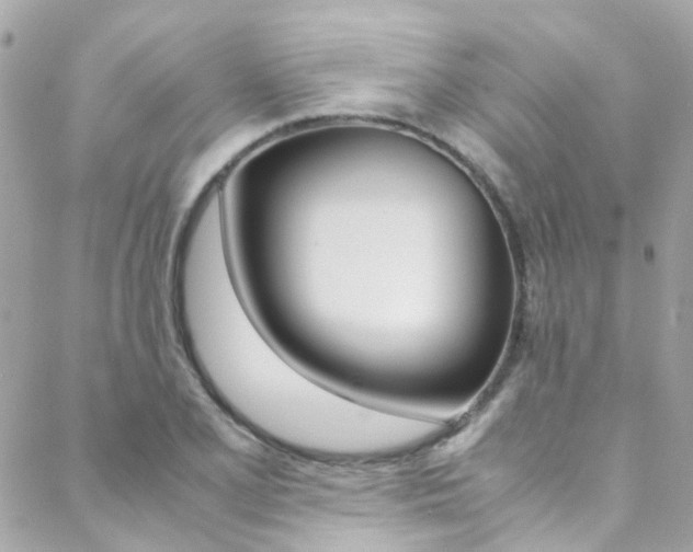 X0000089451077200706151030