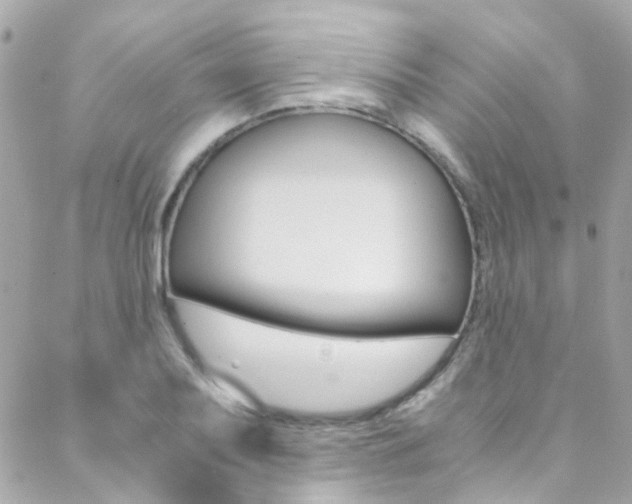 X0000089451079200706151030