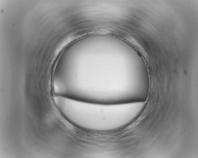 X0000089451083200706151030