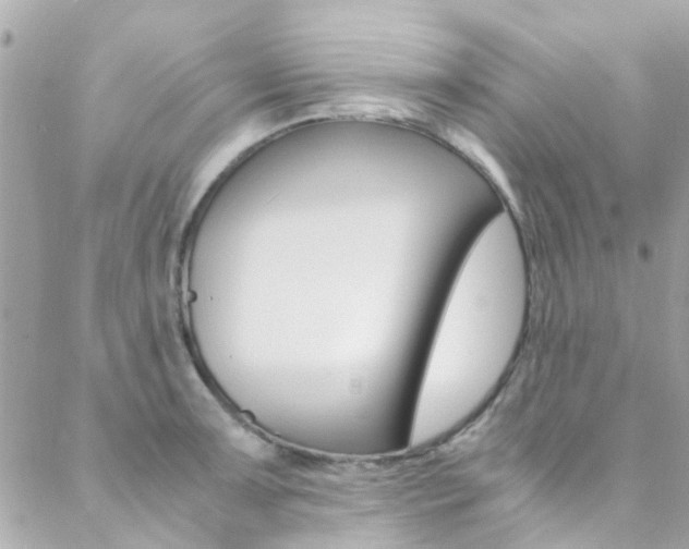 X0000089451091200706151030