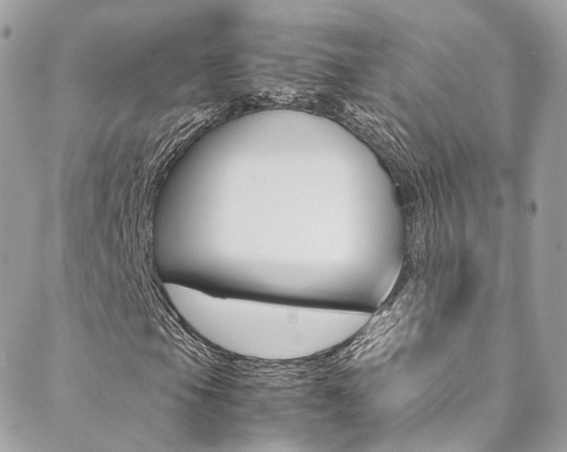 X0000089451105200706151029