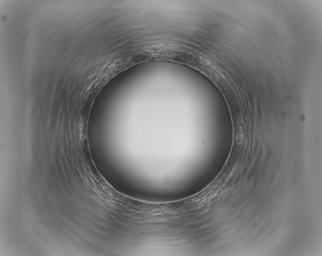 X0000089451108200706151029