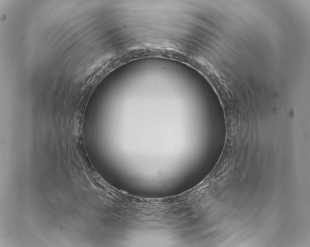 X0000089451110200706151029